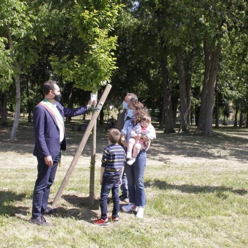 Sindaco con bambino e mamma vicino a un albero