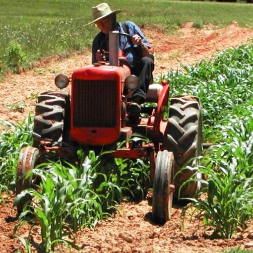 Coldiretti Piemonte: &quot;Stop ai disservizi alle imprese agricole. La Regione intervenga per risolvere le annose difficoltà generate dal CSI Piemonte”