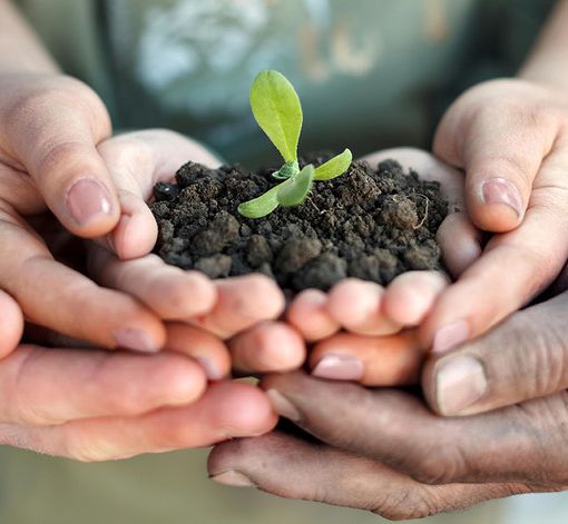 In calo la produzione industriale del Piemonte: l'agroalimentare è l’unico settore in crescita