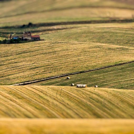 La siccità sta mettendo in ginocchio l'agricoltura torinese: a rischio il raccolto 2018