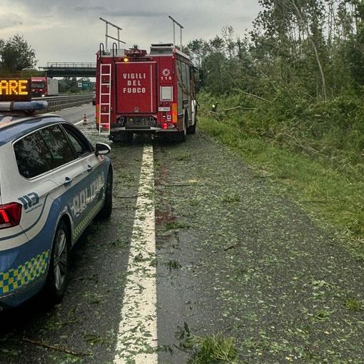 Alberi cadono sulla carreggiata della A5 a causa del maltempo: forti ripercussioni sul traffico