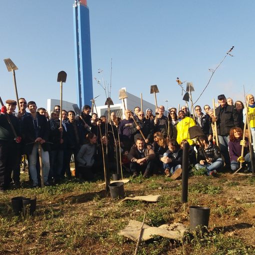 La vita che nasce sotto l'inceneritore: 600 alberi piantati per il futuro (FOTO)