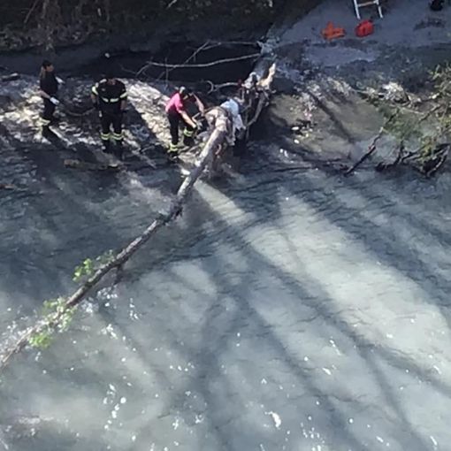 Area Paracchi, rimossi gli alberi che ostruivano la Dora da luglio 2018