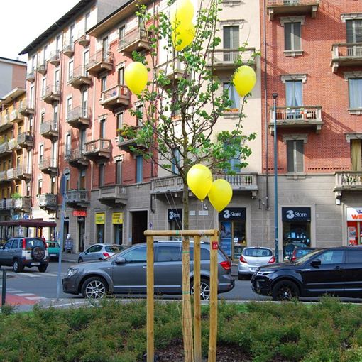 Corso Belgio in verde con “Regala un albero alla tua città”