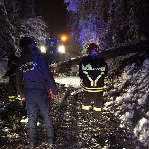 Sestriere, albero caduto blocca la strada: una donna muore sull'ambulanza