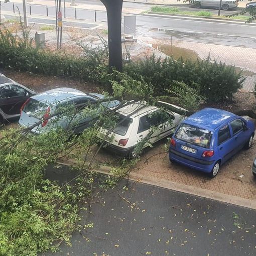 Tombini otturati e alberi abbattuti: Torino un'altra volta in balia del maltempo [VIDEO]