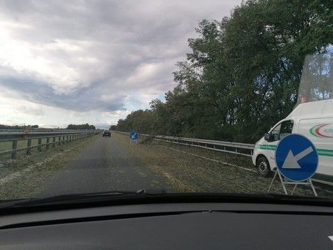 Maltempo, un albero cade sulla Torino-Savona