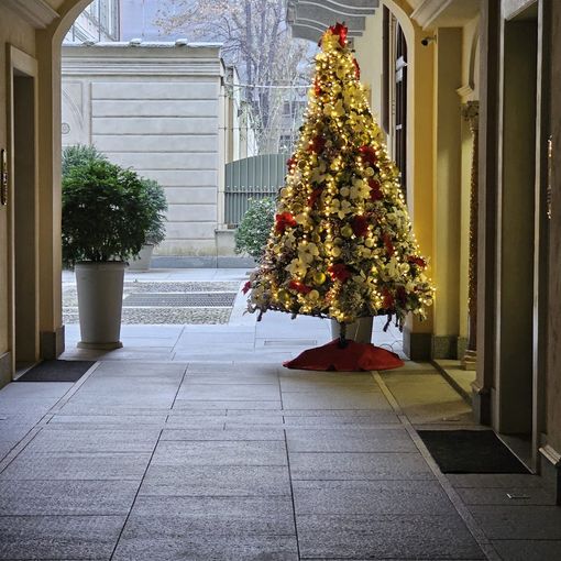Gli ingressi decorati con ghirlande ed alberi: scopri dove