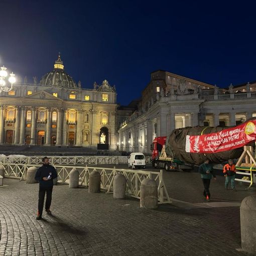 albero di natale in vaticano