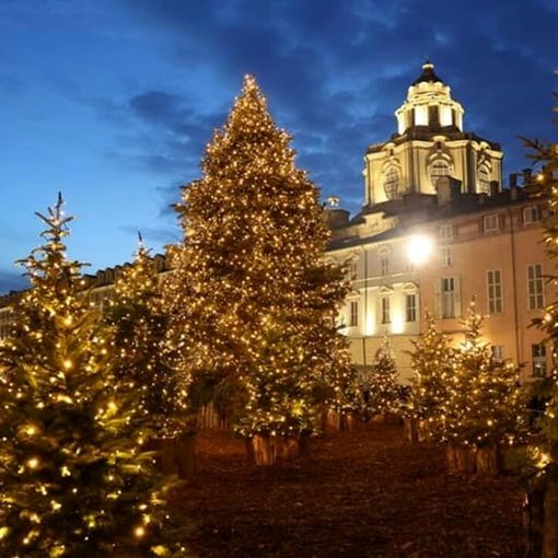accensione albero piazzetta reale