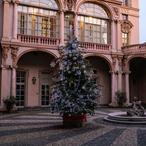 Anche il Consiglio Regionale ha fatto l'albero: torna l'abete &quot;adottato&quot; dal vivaio