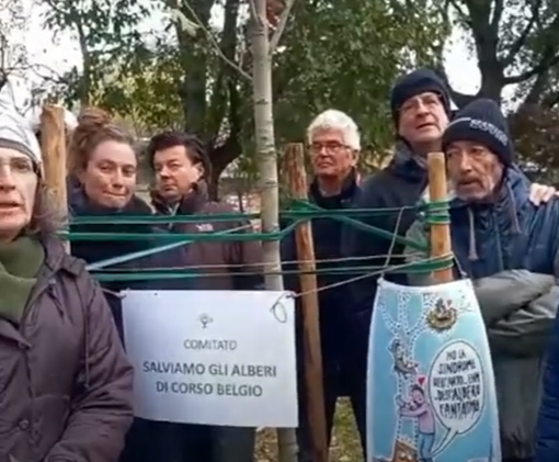 alberi e polemiche