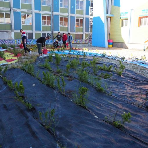 Vandalizzato il giardino degli studenti dell’Alberti-Porro di Pinerolo