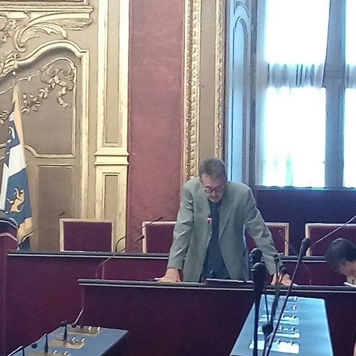 Cura del patrimonio verde a Torino, nuovi interventi di riqualificazione