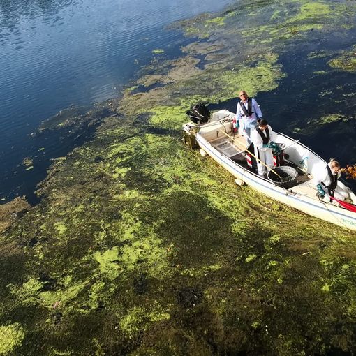 corso d'acqua con imbarcazione e alghe in superficie