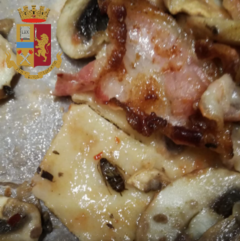 Pizza condita al gusto insetti: a Torino i carabinieri sequestrano un locale di via Madama Cristina