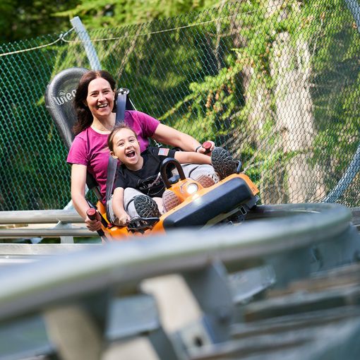 Bardonecchia, parte la stagione estiva: riaprono l'Alpine Coaster e l'affitto bici