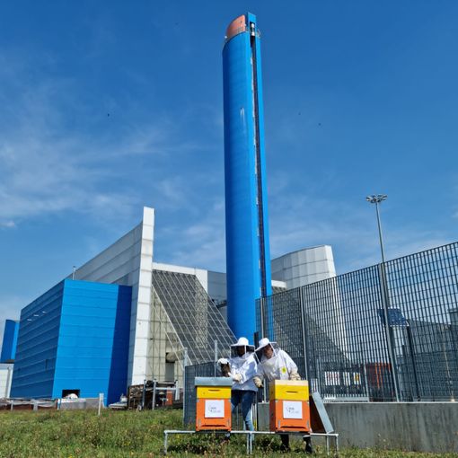 alveari termovalorizzatore