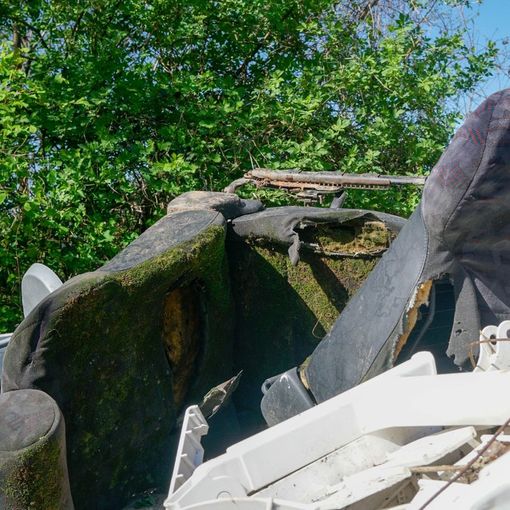 Giornata mondiale dell'Ambiente: il bilancio di Pro.Civi.Co.S.