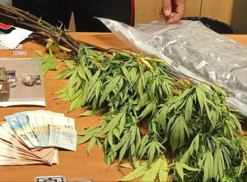 Quattro arresti a Torino e Caselle per detenzione di droga: sorpresi due corrieri di amnèsia [VIDEO]