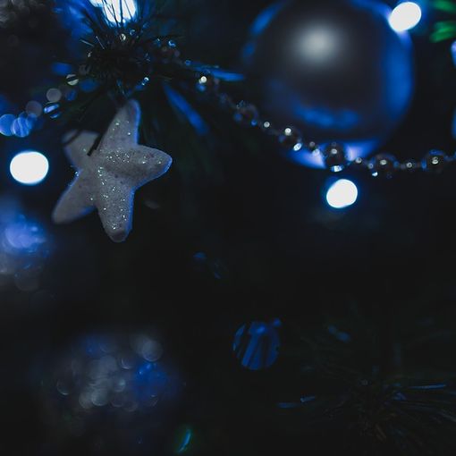 La leggenda dell’Albero di Natale