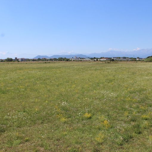 area campo volo collegno