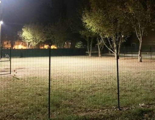 area cani illuminata