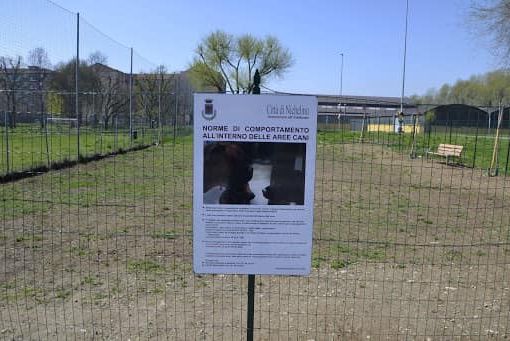 Nichelino corre incontro agli amici a quattro zampe: due aree cani saranno dotate di fontane