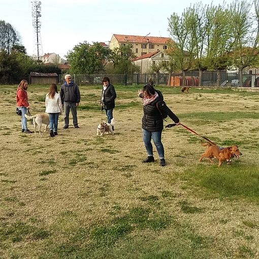 Nichelino, se il proprietario ha il covid è il Comune che si prende cura dell'amico a quattro zampe