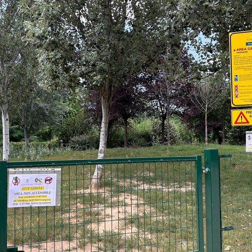 area cani via fagnano