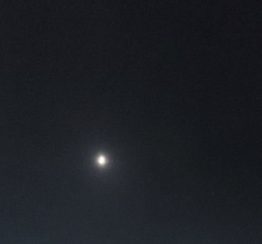 Anche lo spazio celebra Torino, un asteroide porta il suo nome
