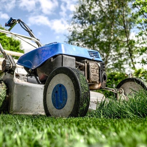 Gli attrezzi di Ferramenta Giusti must have per il giardinaggio