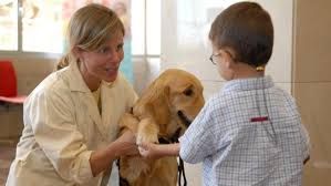 Autismo, dopo dieci anni di “guida” il Centro Pilota dell’Asl di Torino diventa Centro Esperto