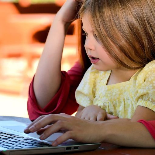 Con Europe Direct Torino storia e valori dell'Unione Europea si imparano anche online