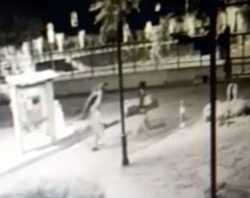 Furto di rame al cimitero: due arresti all'alba a Moncalieri. Devastate tombe e cappelle