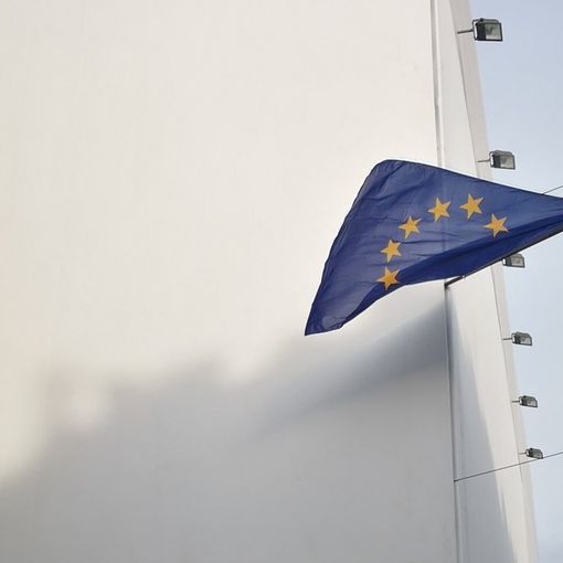 Via Po con le bandiere Ue pronta ad accogliere i Sì Tav: stop ai bus e al traffico in centro