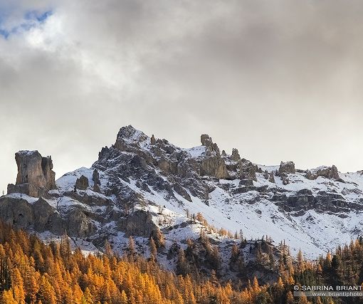 I principali eventi in programma a Bardonecchia