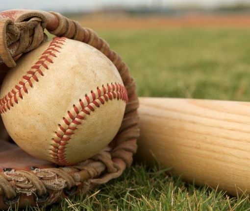 L'accademia regionale Piemonte baseball presenta gli atleti ammessi e il programma dell’attività 2018-2019