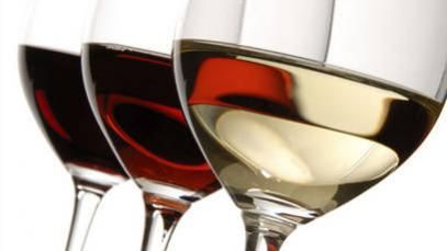 Città del gusto Torino - Gambero Rosso, il primo corso ad Alba è &quot;ABC del VINO&quot;