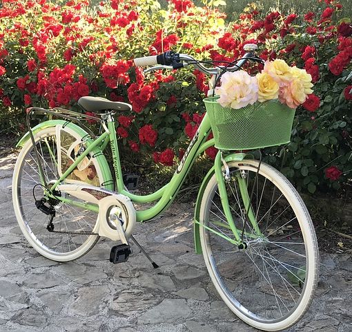 Quant'è bella Mirafiori raccontata in bicicletta