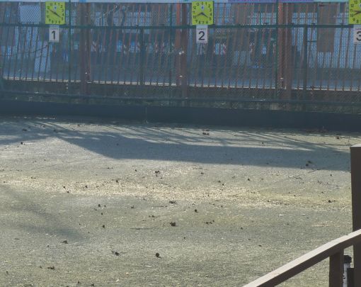 A Parella, aperto il bando per le bocciofile di via Carrera e corso Telesio