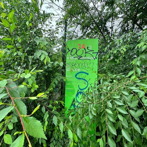 bocciofila il mio giardino