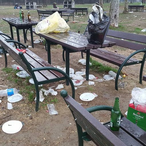 Il Boschetto di Nichelino ridotto a una discarica. Oggi pomeriggio sindaco e consiglieri impegnati a ripulire il parco (FOTO)