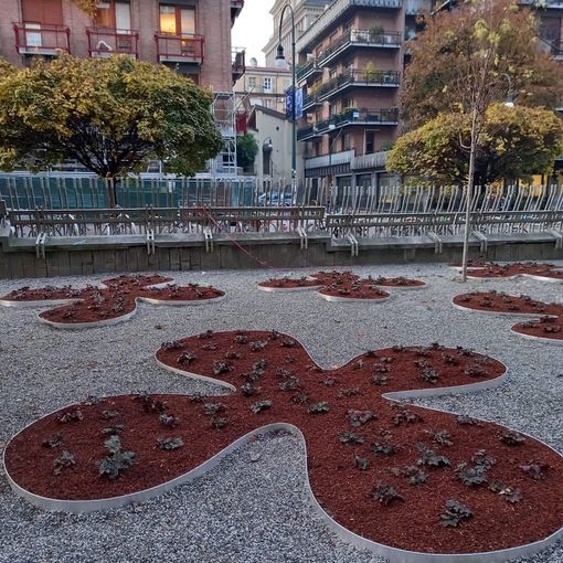 il bosco davanti a Palazzo Nuovo