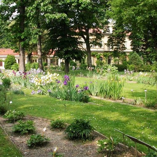 Torino, gli eventi di aprile all'orto botanico