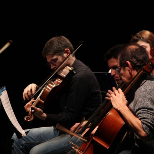 Al Conservatorio Verdi, Chypre il concerto dai richiami romantici e floreali dell'Orchestra Filarmonica di Torino