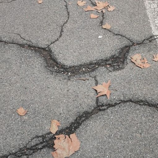 Buche sulla ciclabile: l'asfalto di corso Montecucco e Montegrappa è da rifare