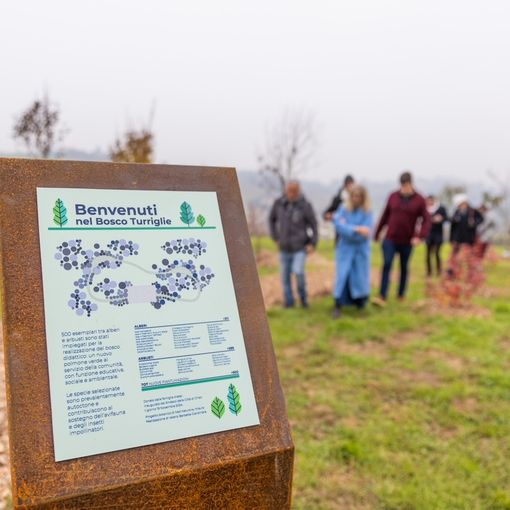 Nuova vita per il Bosco Turriglie a Chieri: piantati oltre cinquecento esemplari di alberi e arbusti