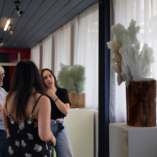 Flashback Habitat: apre la mostra Galaverna di Massimo Sacchetti