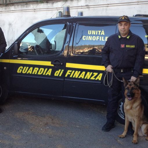 Evade gli arresti domiciliari: arrestato dalla Guardia di Finanza a Lingotto